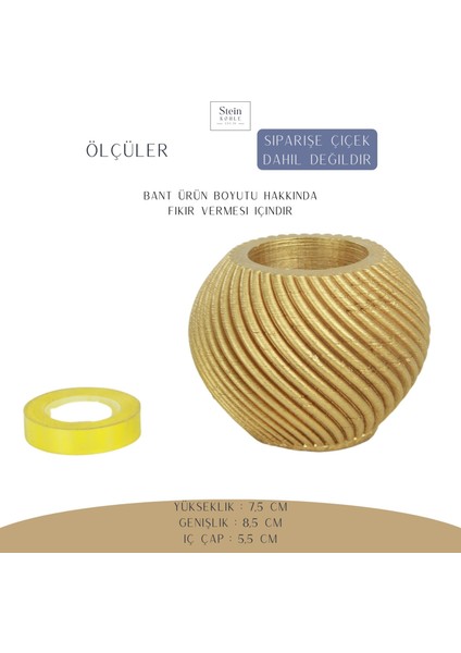 Dekoratif Saksı Minik Kaktüs Saksısı Ince Çizgi Spiral Model