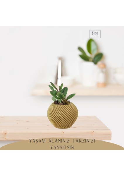 Dekoratif Saksı Minik Kaktüs Saksısı Ince Çizgi Spiral Model