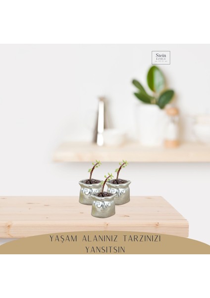 Dekoratif Saksı Minik Kaktüs Saksısı Kese Model