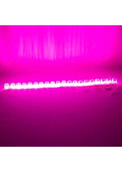 Modül LED 12V 1.5W Pembe 2835 85 x 73MM IP65 240-260LM 180 Derece (20 Adet) fiyatları
