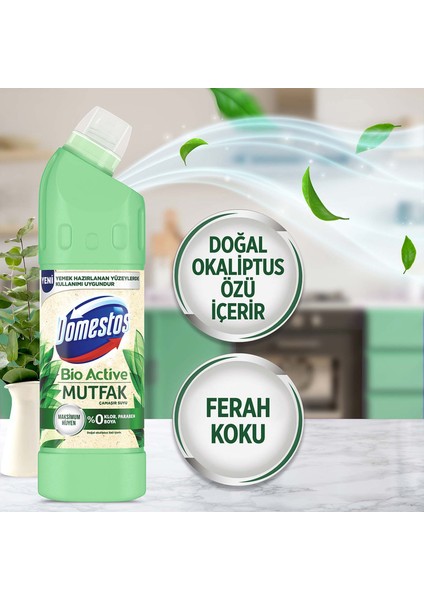 Çamaşır Suyu Bio Active Mutfak Maksimum Hijyen 750 ml + Domestos Çam Ferahlığı 1850ML