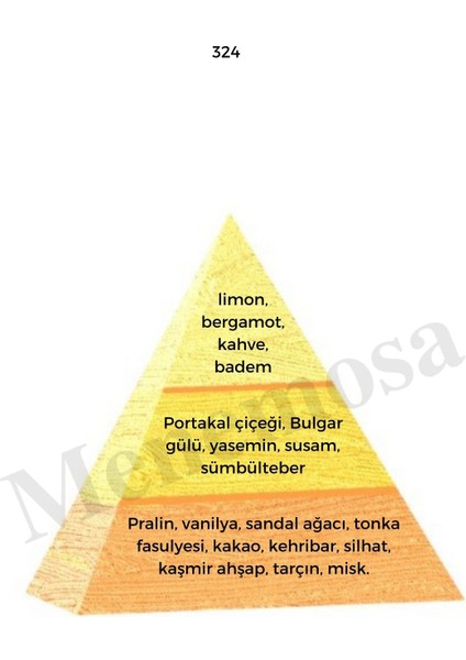 324 + 154 Kadın Parfüm EDP 50 ml Oriental / Froral