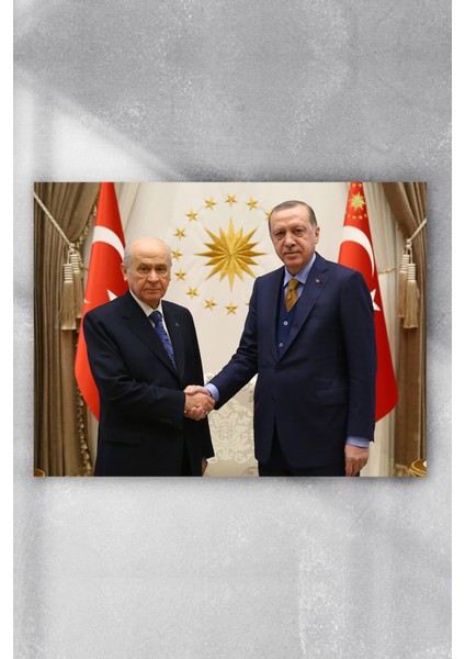 Cumhur Ittifakı Posteri, Recep Tayyip Erdoğan, Devlet Bahçeli Poster, Afiş