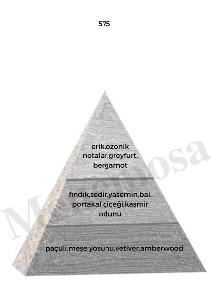 575 + No: 528 Erkek Parfüm EDP 50 ml Woody / Fresh fiyatları