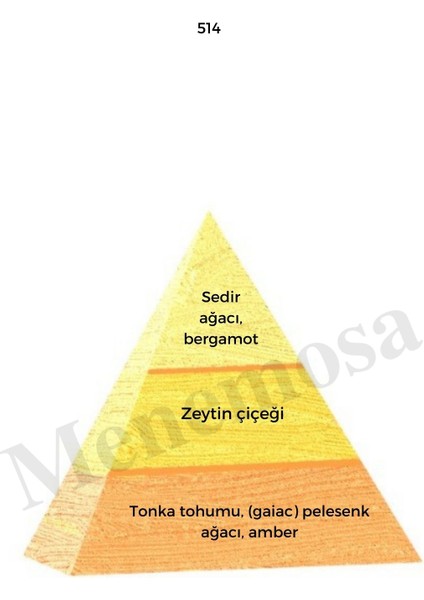 No: 199 + 514 Unisex / Erkek Parfüm EDP 50 ml Oriental modelleri