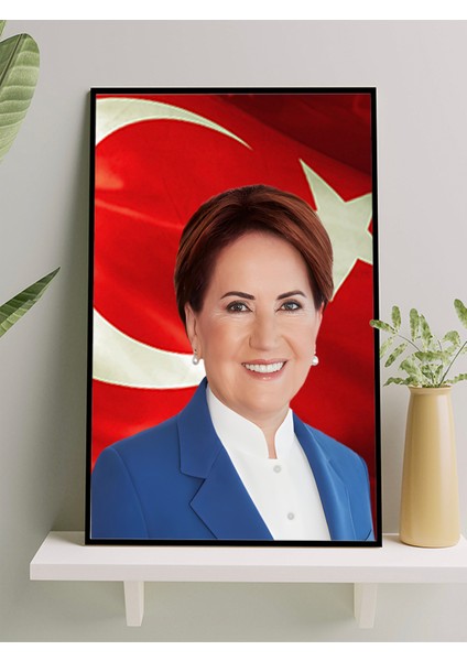 Meral Akşener Çerçeveli Tablo, Iyi Parti Çerçeveli Tablo