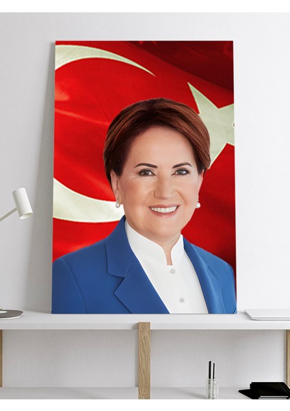 Meral Akşener Kanvas Tablo, Iyi Parti Kanvas Tablo