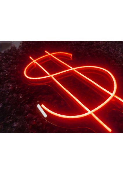 Dolarlogo Neon LED Tabela Duvar Dekoru