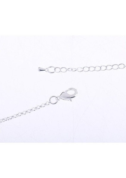 Kolye (Yurt Dışından) fiyatları