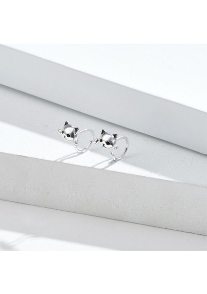 Bijuteri Küpe (Yurt Dışından) modelleri