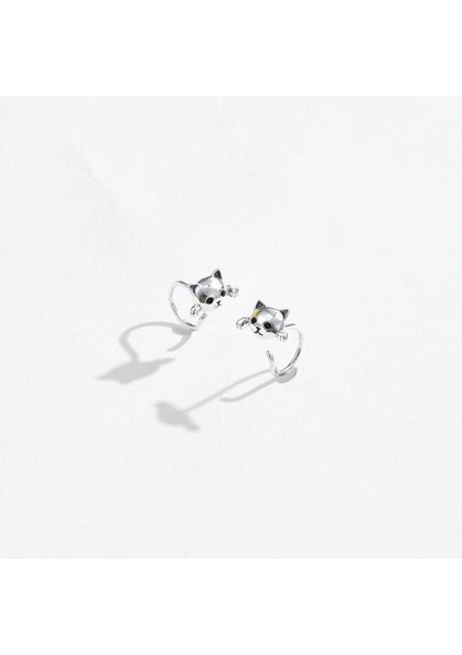 Bijuteri Küpe (Yurt Dışından) fırsatları