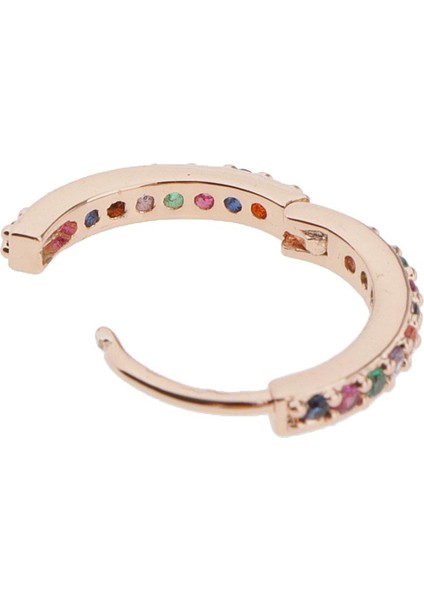 Bijuteri Küpe (Yurt Dışından)