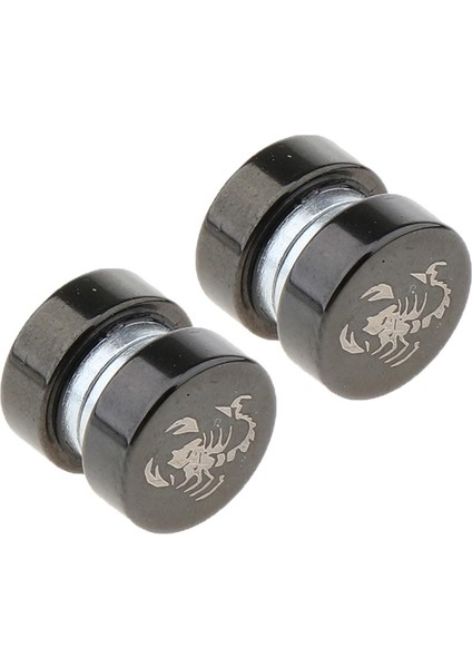 Bijuteri Küpe (Yurt Dışından) fiyatları