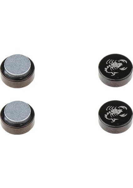 Bijuteri Küpe (Yurt Dışından) fırsatları