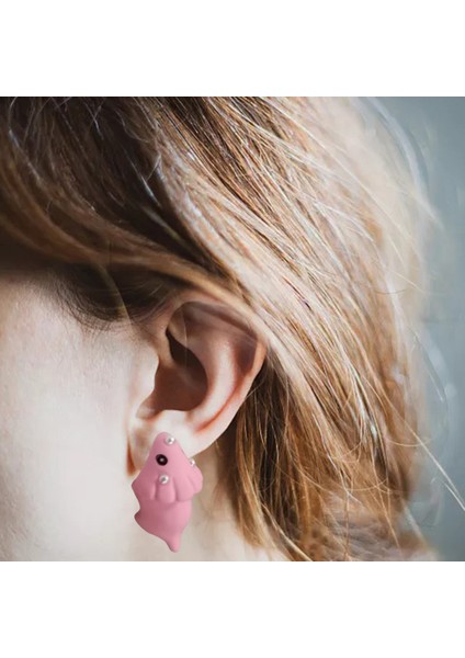 Bijuteri Küpe (Yurt Dışından) fiyatları