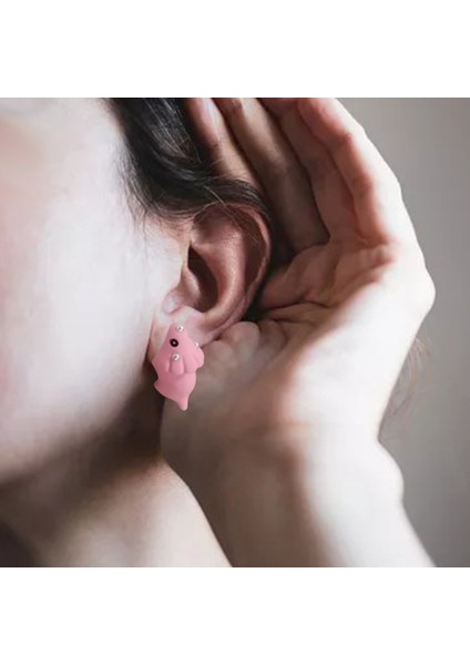 Bijuteri Küpe (Yurt Dışından) modelleri