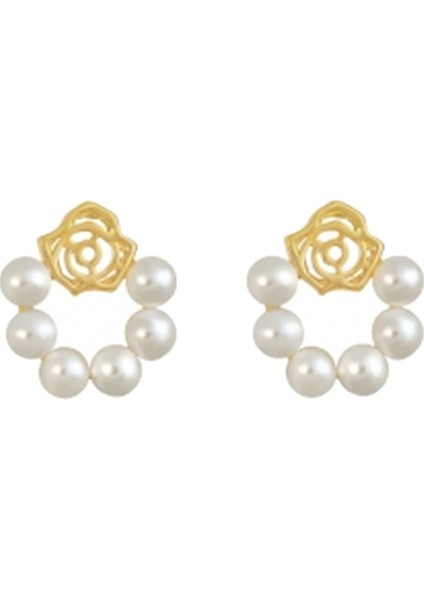 Bijuteri Küpe (Yurt Dışından)