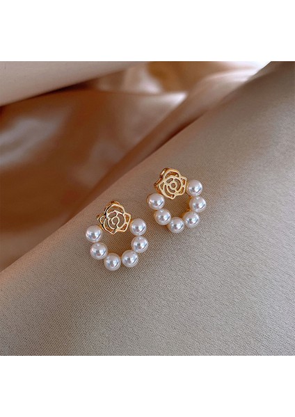 Bijuteri Küpe (Yurt Dışından) fiyatları