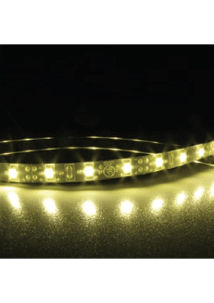 5 Metre 16.4ft 12V LED Deniz Için Esnek Şerit (Yurt Dışından)