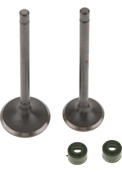 CG125 Için Kaldırıcılar ve Valf Kök Contası ile Egzoz Egzersizi (Yurt Dışından) indirimleri