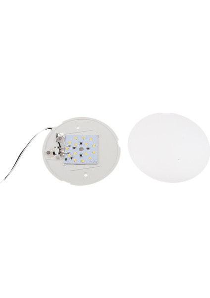 12V Deniz Botu Rv Iç LED Sıcak Tavan Işık Yüzey Montaj Kubbe Işığı/ (Yurt Dışından)
