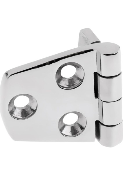 316 Paslanmaz Çelik Tekne Deniz Kapı Kapak Bölmesi Kayış Menteşe 57 x 38MM (Yurt Dışından)