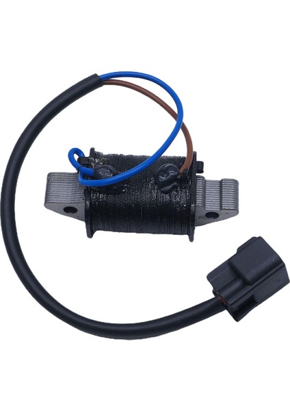 6H2-85520 Şarj Bobini Yamaha Tekne Motoru Için Uyuyor 70HP 60HP 6H2-85520-01-00 (Yurt Dışından)