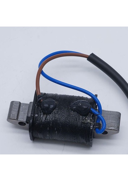 6H2-85520 Şarj Bobini Yamaha Tekne Motoru Için Uyuyor 70HP 60HP 6H2-85520-01-00 (Yurt Dışından)