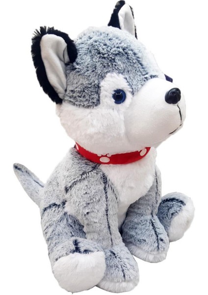 Markasız Halley 50 cm Husky