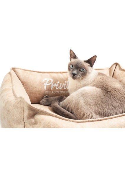 Premium Visco Kedi Yatağı Camel Medium 50X70X22 cm