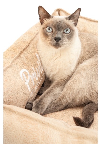 Premium Visco Kedi Yatağı Camel Medium 50X70X22 cm