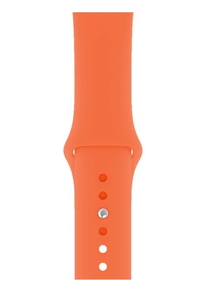 Apple Watch Seri 1/2/3/4/5/6/7/8/SE/38MM 40MM 41MM Kordon Kayış Bileklik Klasik Kaliteli Silikon