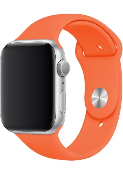 Apple Watch Seri 1/2/3/4/5/6/7/8/SE/38MM 40MM 41MM Kordon Kayış Bileklik Klasik Kaliteli Silikon fırsatları