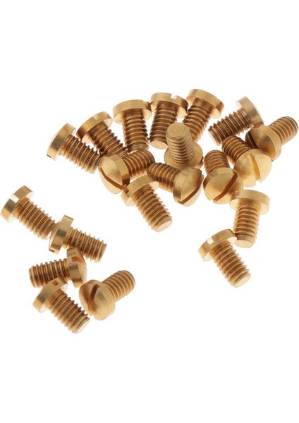 2X20PCS Saksafon Bakım Vidaları Saksafon Onarım Araçları Parçalar Diy Aksesuarları 2 Adet (Yurt Dışından)