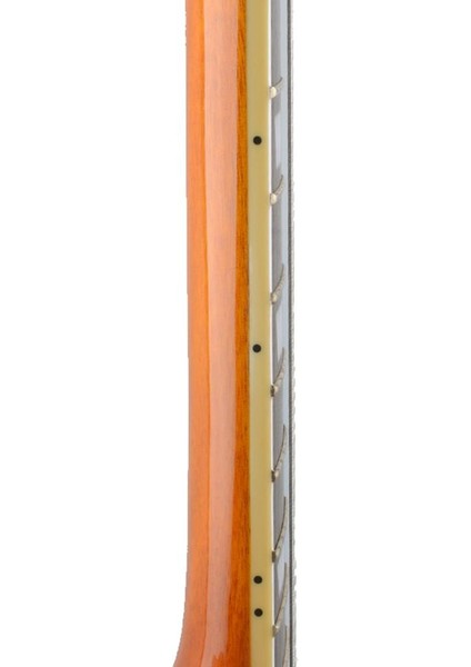 2x1 Paket Abs Plastik Gitar Yan Nokta Konum Işaretleri Siyah 2 Adet (Yurt Dışından)