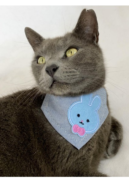 Blue Bunny Kedi Bandana, Fular, Kedi Kıyafeti Kedi Elbisesi