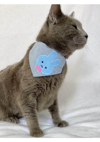 Blue Bunny Kedi Bandana, Fular, Kedi Kıyafeti Kedi Elbisesi