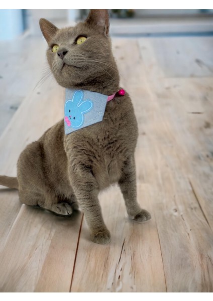 Blue Bunny Kedi Bandana, Fular, Kedi Kıyafeti Kedi Elbisesi