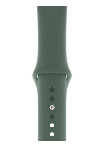 Seri 1/2/3/4/5/6/7/8/SE/ 38-40-41MM S10(42)MM Kordon Kayış Bileklik Klasik Kaliteli Silikon