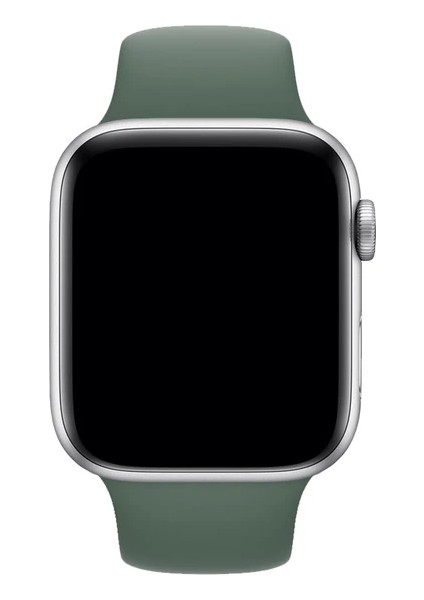 Seri 1/2/3/4/5/6/7/8/SE/ 38-40-41MM S10(42)MM Kordon Kayış Bileklik Klasik Kaliteli Silikon fırsatları