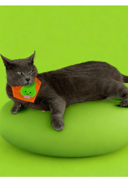 Green Bunny Kedi Bandana, Fular, Kedi Kıyafeti Kedi Elbisesi