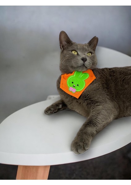 Green Bunny Kedi Bandana, Fular, Kedi Kıyafeti Kedi Elbisesi