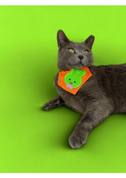 Green Bunny Kedi Bandana, Fular, Kedi Kıyafeti Kedi Elbisesi