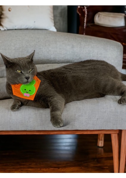 Green Bunny Kedi Bandana, Fular, Kedi Kıyafeti Kedi Elbisesi