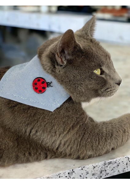 Uğur Böceği Kedi Bandana, Fular, Kedi Kıyafeti Kedi Elbisesi