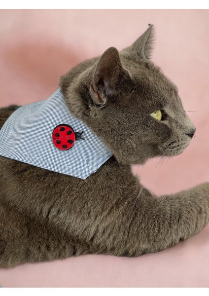 Uğur Böceği Kedi Bandana, Fular, Kedi Kıyafeti Kedi Elbisesi