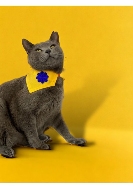 Yellow Blue Kedi Bandana, Fular, Kedi Kıyafeti Kedi Elbisesi