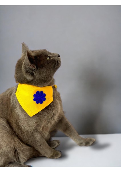 Yellow Blue Kedi Bandana, Fular, Kedi Kıyafeti Kedi Elbisesi