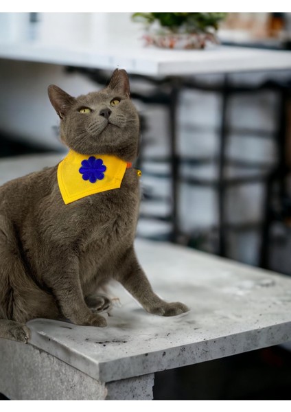 Yellow Blue Kedi Bandana, Fular, Kedi Kıyafeti Kedi Elbisesi