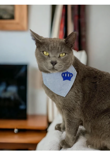 King Blue Kedi Bandana, Fular, Kedi Kıyafeti Kedi Elbisesi